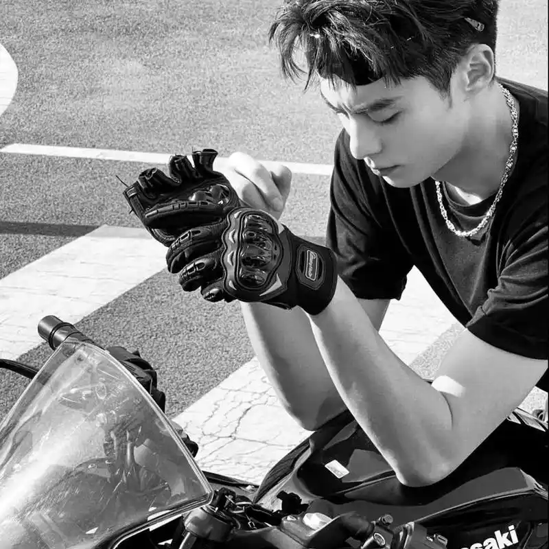 明星头像|王鹤棣