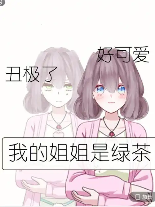 我的姐姐是绿茶1