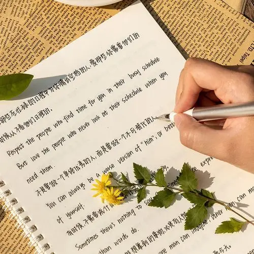 英文练字帖手写体中英速写奶酪陷阱chris.