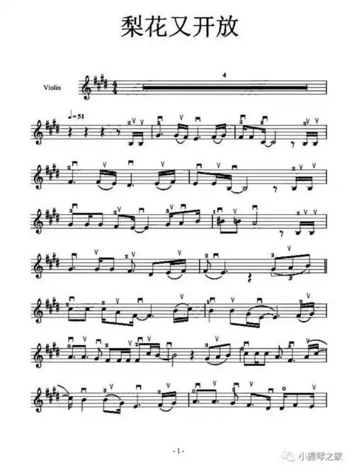 流行《梨花又开放》附小提琴曲谱_手机搜狐网