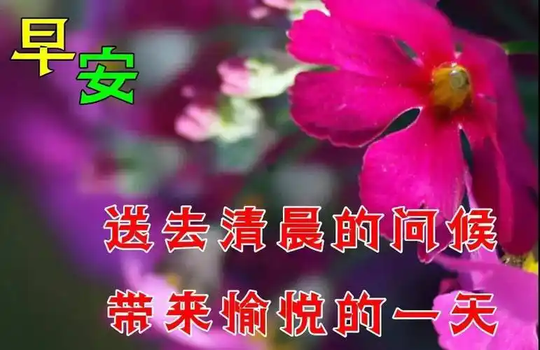 8张最美夏日风景早上好图片带字带祝福语 好看的朋友圈早安问候祝福语