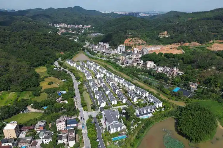 "示范带 "全面启动广州和美乡村建设_新乡村_发展_精品