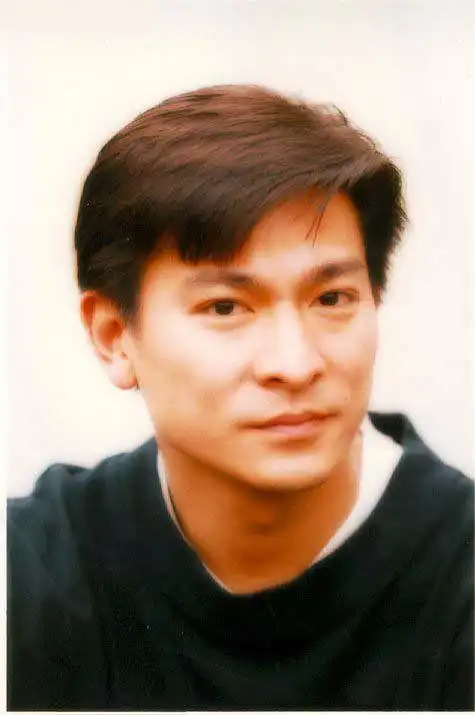 p>刘德华(andy lau),1961年9月27日出生于中国香港,籍贯广东新会