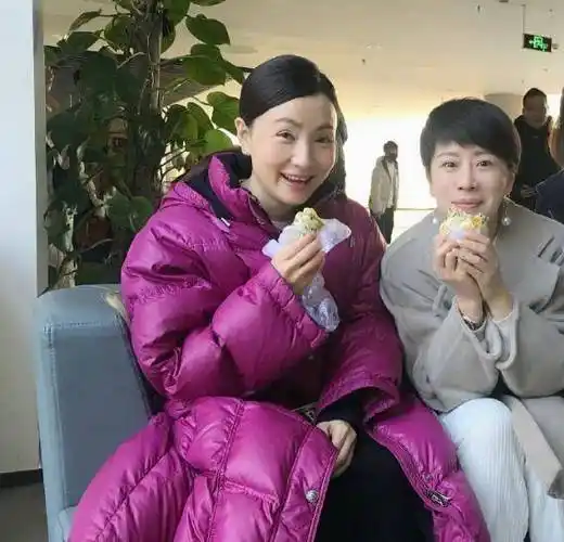 20年前的小龙女变身母亲,小陶虹在《小欢喜》中演绎不一样的精彩_宋倩