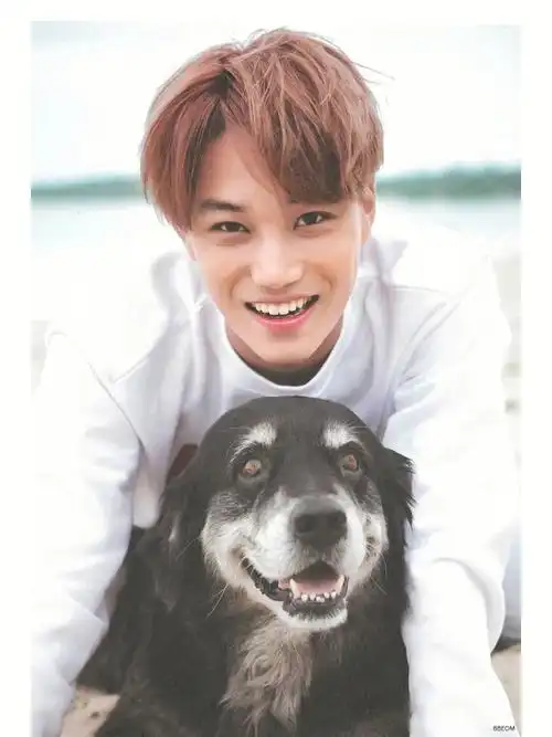 exokai可以治愈一切的笑容