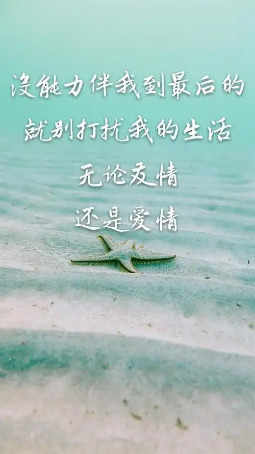 不能伴我到最后的就别打扰我的生活无论友情还是爱情