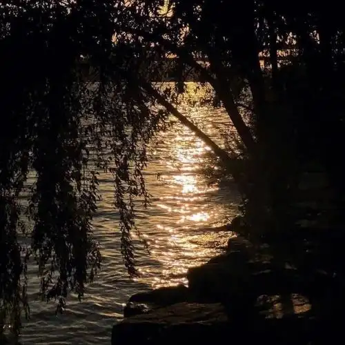 高颜值363436373039背景图来啦 好赞!