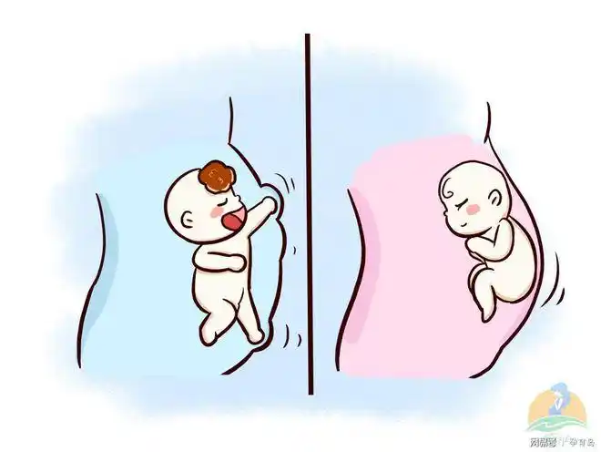 男孩和女孩的胎动有区别关于胎动的规律你知道多少