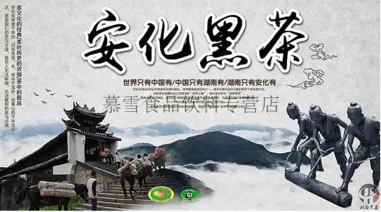 安化黑茶 湖南安化黑茶华莱健百两天尖荷香金茯黑砖茶高山 天尖茶500