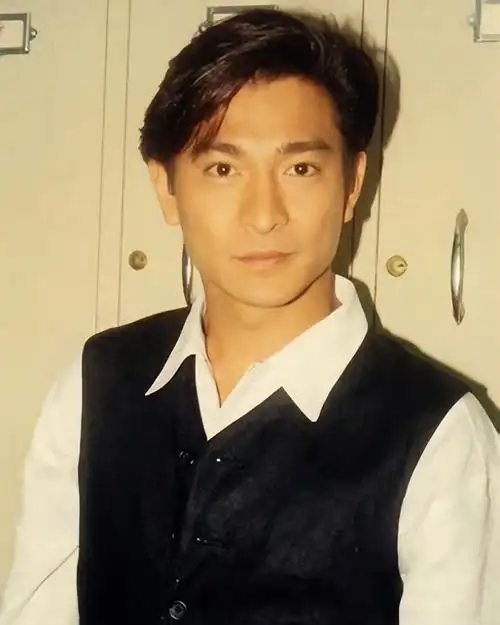 刘德华遇到了自己的初恋在相处过程中,刘德华和林安琪产生了爱意,最终