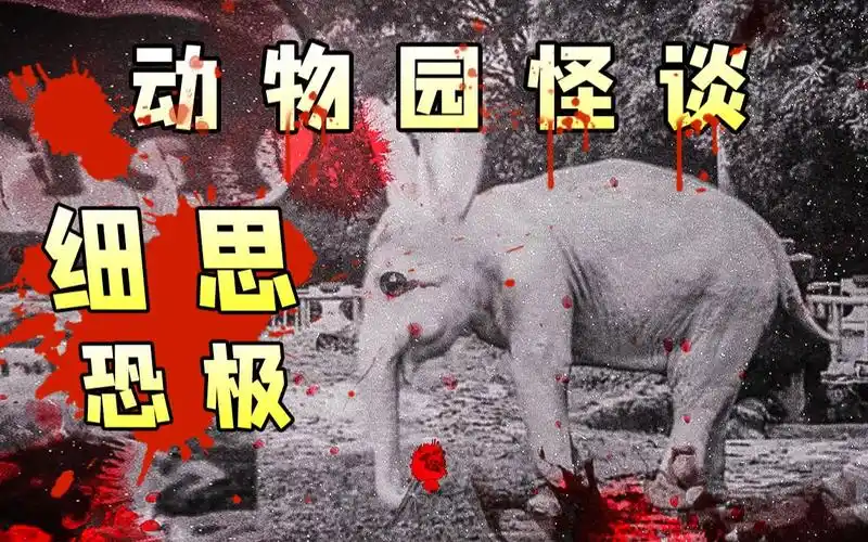 真相找到了!吓疯全网的《动物园规则》为何会如此恐怖?