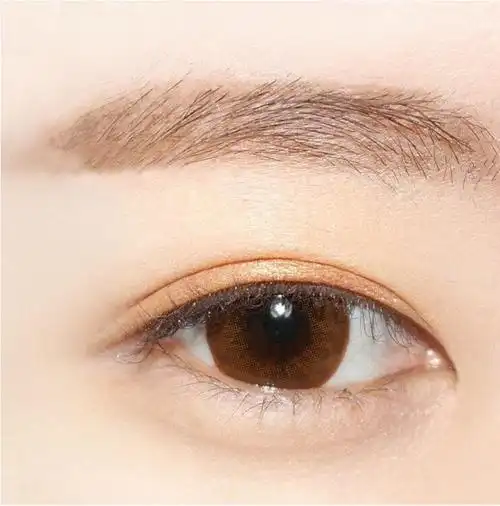 step2:在上眼睑眼皮褶皱的位置涂伤金咖色眼影,并微微向外晕染.