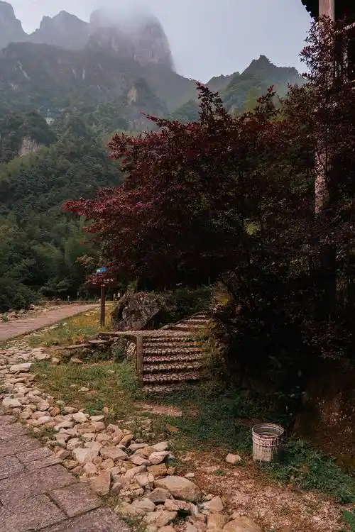 原创电视版神雕侠侣拍摄地小龙女生活十六年的神秘山谷