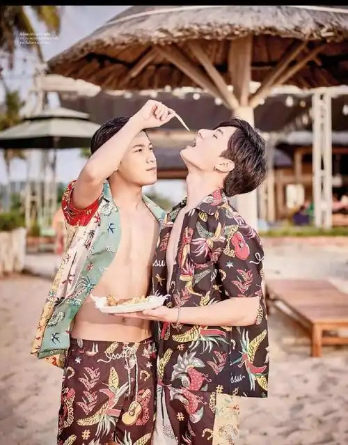 看了会上瘾的5部泰国电视剧全部看过的请举手