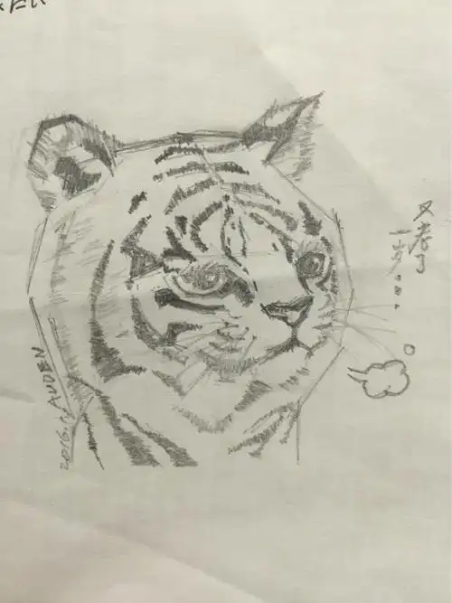 元旦画的小老虎.