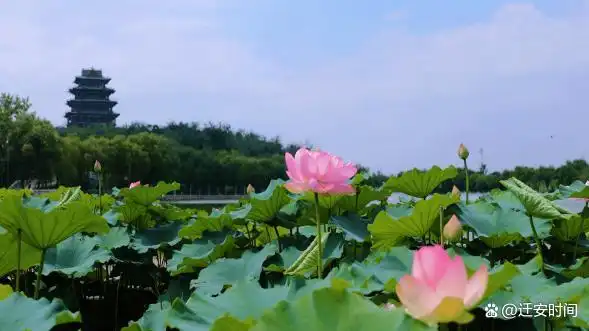 黄台山公园紧邻国家级水利风景区——黄台湖风景区山水相依,刚柔相济