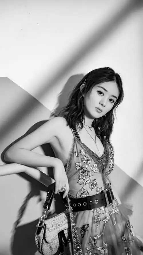 赵丽颖迪奥品牌大使赵丽颖cr扇子要开花儿