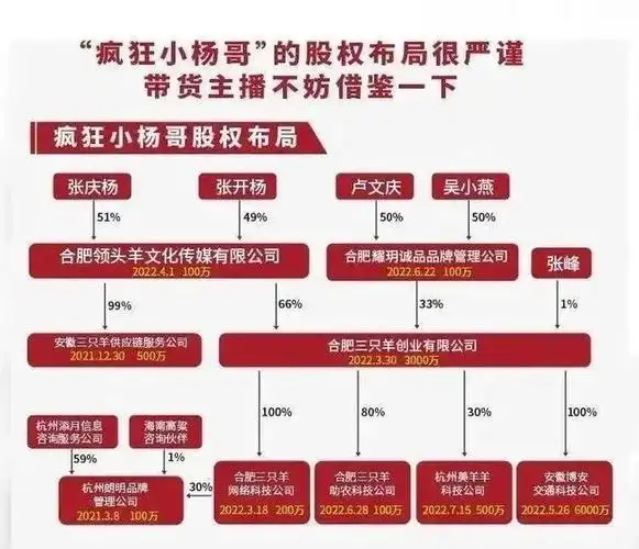 小杨哥,不如薇娅|网红|李佳琦|直播间_网易订阅