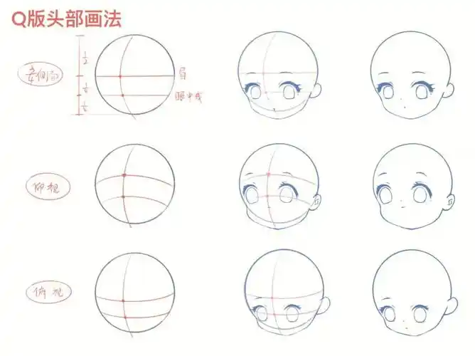 q版人物头部练习三视图