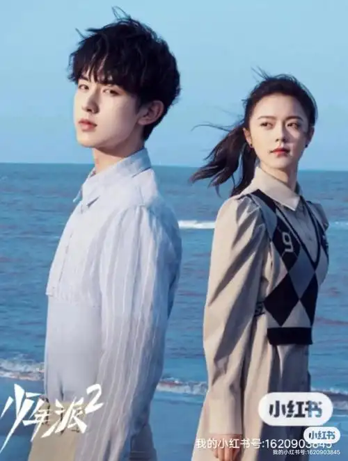 少年派二续写25上