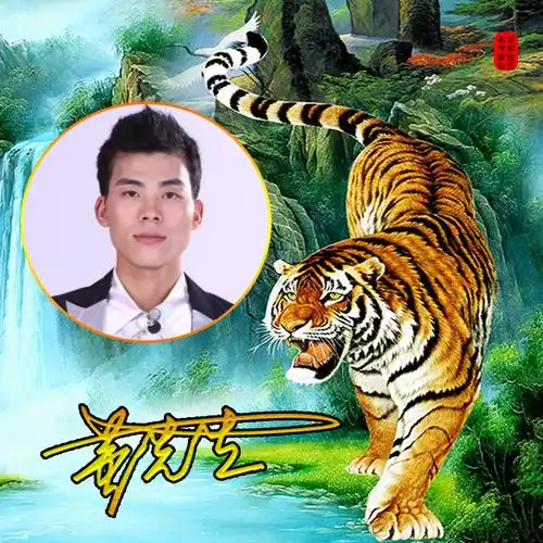 【编号65】老虎猛虎下山虎上山虎-微信头像,百家姓氏微信头像,名字