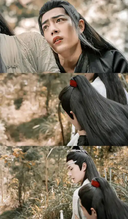 陈情令 肖战王一博