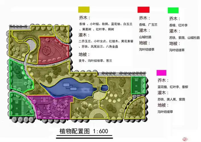 植物配置图