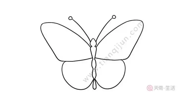 轴对称的图形简笔画