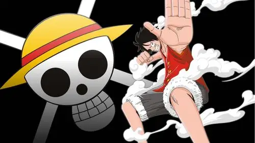 luffy,anime,jolly roger,壁纸,高清壁纸动漫,动漫本子,航海王,任物