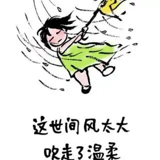 凤于九天 今天的风好大