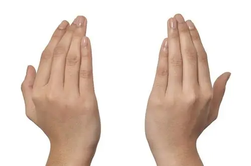 照片素材(图片): 手部件(两个臂)1