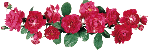 500_170gif 动态图 动图