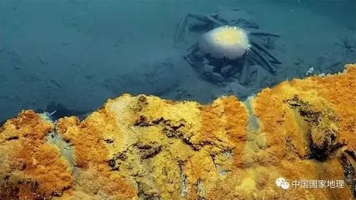 地理知识 | 探秘海底的"死亡池水"