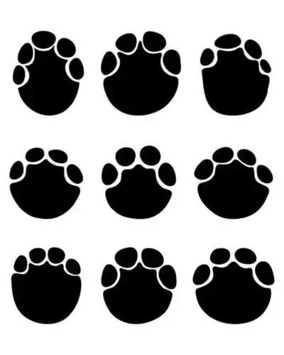 动物脚印简笔画脚印简笔画怎么画脚印的简笔画步骤图解教程简笔画画