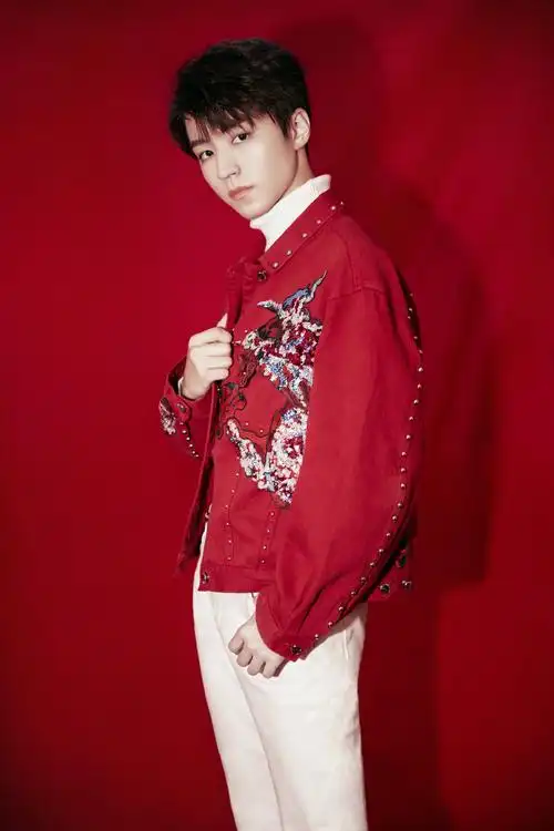 王俊凯刺绣夹克帅气写真图片112