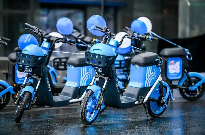 但电动车属于价格敏感型产品,消费者对品牌的追求并不是那么强烈