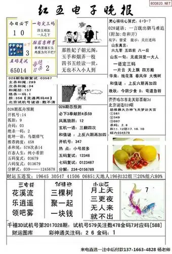 028期红五电子推荐3d晚报图