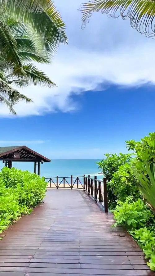 美丽的城市美丽的风景 最美海岛 网红拍照景点 海岛度假 海边风景