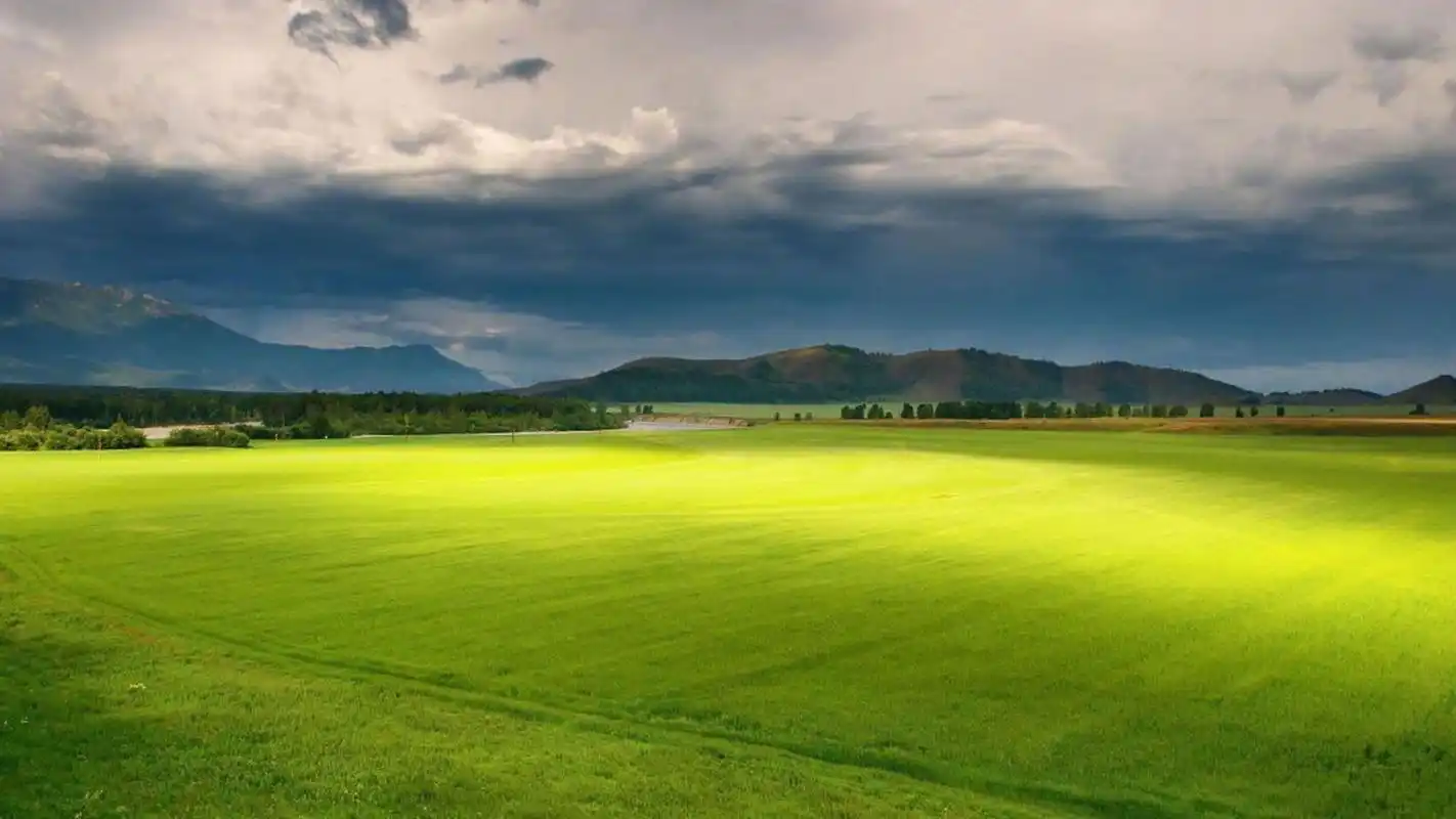 风景壁纸,绿色,唯美,护眼,高清,自然风光,壁纸,1920x1080