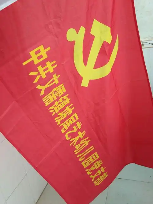 我们幼儿园的党旗!