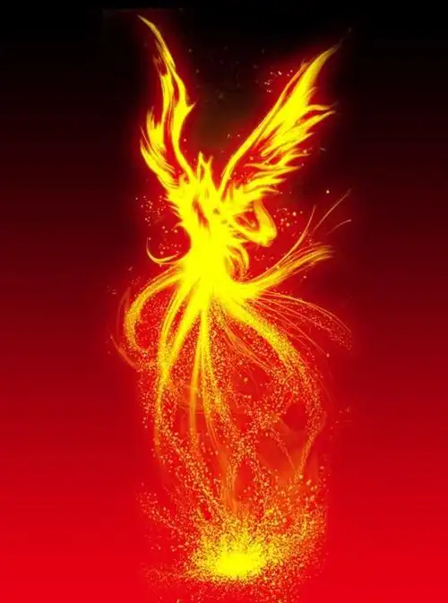 凤凰涅盘 浴火重生 —清华公益情