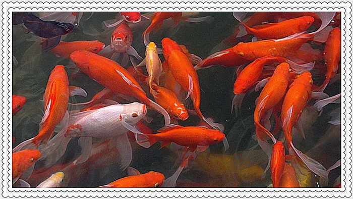 700_394gif 动态图 动图