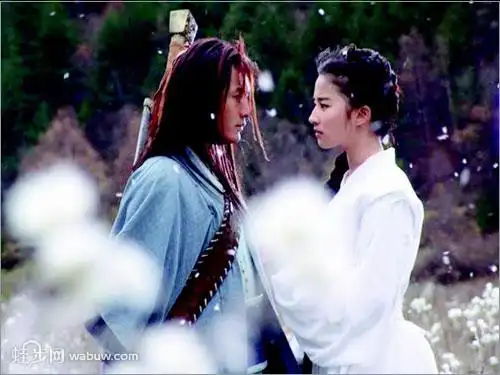 (神雕侠侣)书评