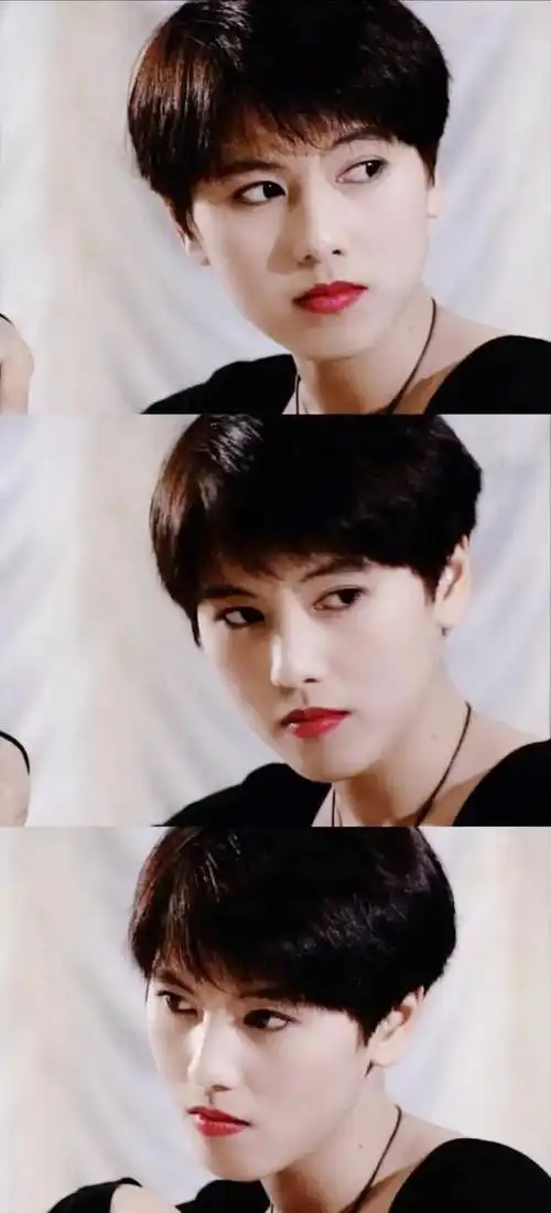 回望上个世纪的香港影视圈,曾经诞生过一批让人一眼万年的短发女神,在