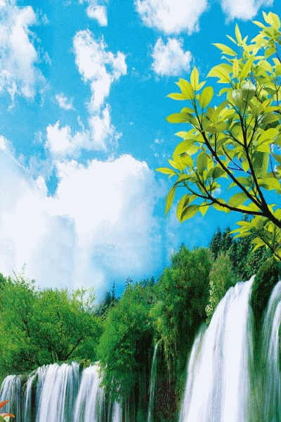 400_600竖版 竖屏gif 动态图 动图