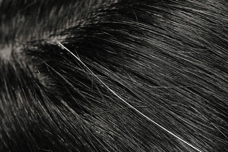 白头发不能拔拔一根会长十根这是真的吗看完终于明白了