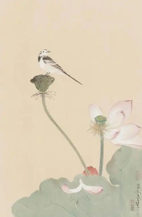 欣赏| 任重的一组工笔荷花15图_昙花