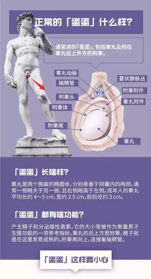 奇!武汉男子腹疼摘掉10cm肿瘤,竟是失踪35年的"蛋蛋"