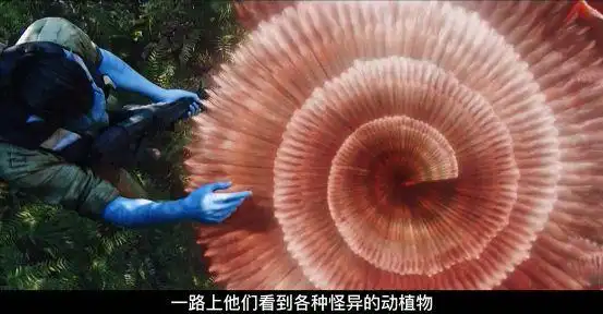 阿凡达乘坐太空非常踏上了纳威人领地遇到5个猛兽好玩且刺激