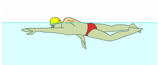 中考游泳:自由泳的动作臀部要领图解